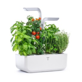 Immagine per la categoria Fioriere "SMART Garden".