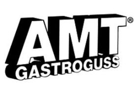 Immagine per la categoria AMT Gastroguss