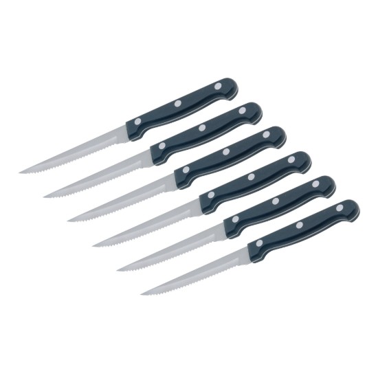 Set van 6 messen voor steak, RVS - Kitchen Craft