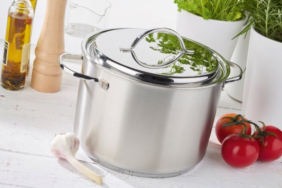 Cooking pot with lid, 20 cm/5 l "Resto", stainless steel - Demeyere