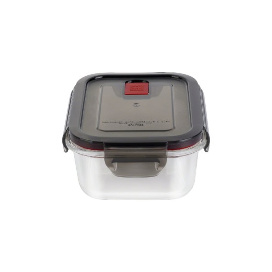 Rectangular food container, made from glass, 600 ml, "Gusto" - Zwilling