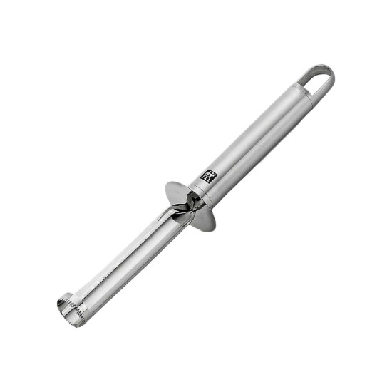 Vruchtenkern en pitjes verwijderaar, RVS, 23 cm, "ZWILLING Pro" - Zwilling