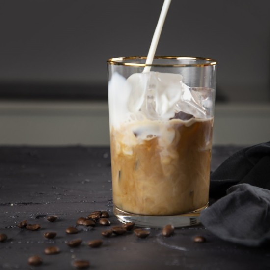 IJsbreker, 55 W - Princess