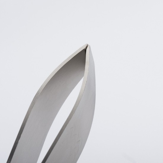 Τσιμπιδάκια από κόκαλα ψαριού, από ανοξείδωτο χάλυβα - Westmark