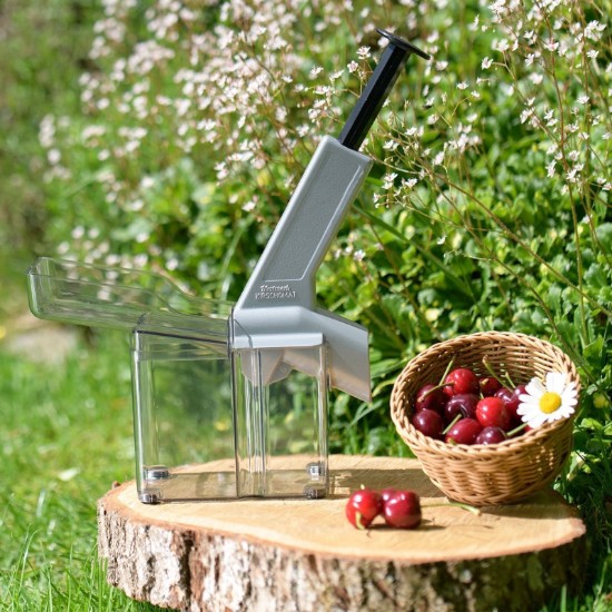 Device for removing pips from cherries - Westmark