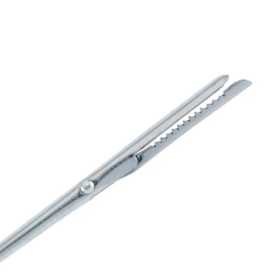 Ago per inserire la pancetta nella carne, 19,3 cm, acciaio inossidabile - Westmark