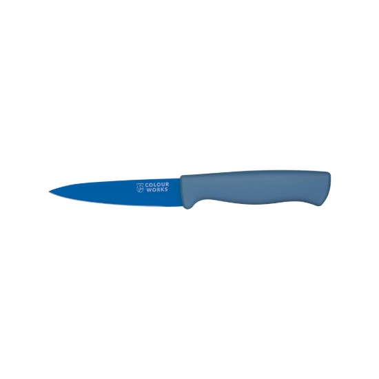 Coltello per pelare frutta/verdura, 9,5 cm, Blu - di Kitchen Craft