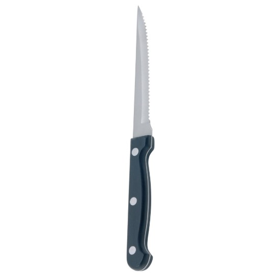 Set van 6 messen voor steak, RVS - Kitchen Craft
