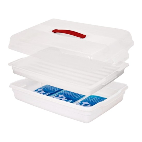 Contenitore rettangolare per alimenti, con coperchio, plastica, 45 x 29,5 x 11,1 cm - Curver