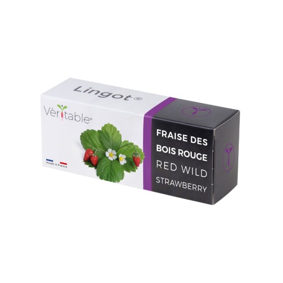 Confezione di semi "Lingot" di fragoline di bosco - marchio VERITABLE