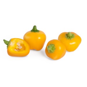 Confezione di semi di peperone giallo mini "Lingot" - marchio VERITABLE