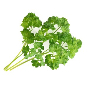 Confezione con semi di prezzemolo riccio "Lingot" - marchio VERITABLE