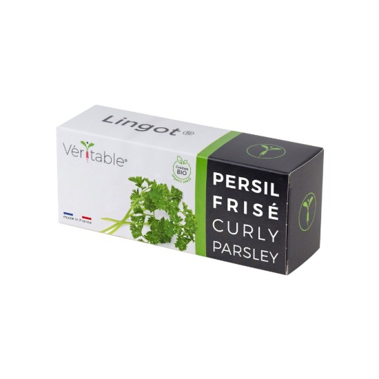 Pakket met "Lingot" krulpeterselie zaden - VERITABLE merk