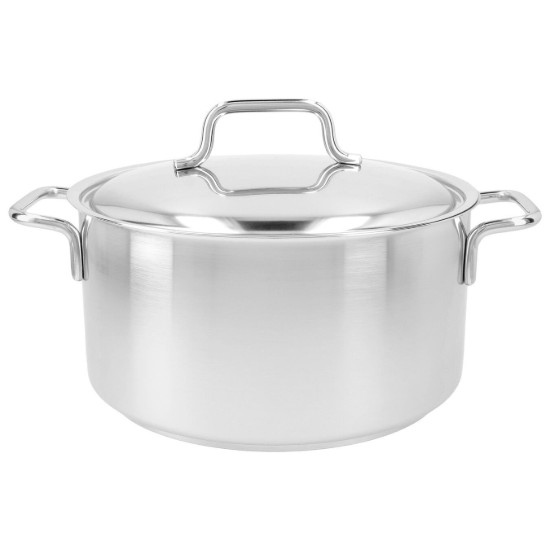 Κατσαρόλα με καπάκι, 22 cm / 4 l "Apollo", ανοξείδωτο χάλυβα - Demeyere