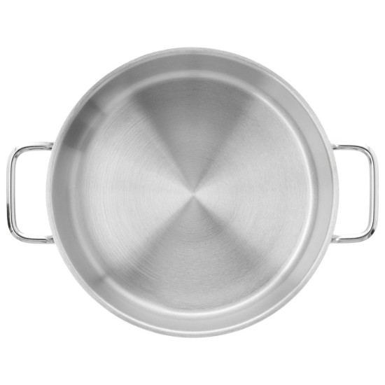 Κατσαρόλα με καπάκι, 22 cm / 4 l "Apollo", ανοξείδωτο χάλυβα - Demeyere