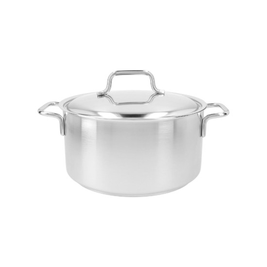 Κατσαρόλα με καπάκι, 22 cm / 4 l "Apollo", ανοξείδωτο χάλυβα - Demeyere