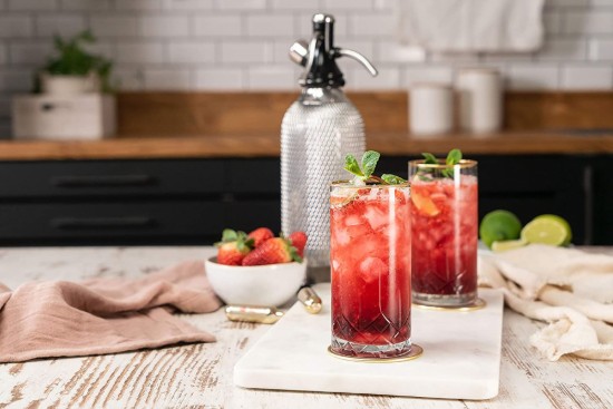 Set van 10 CO2-laders - iSi