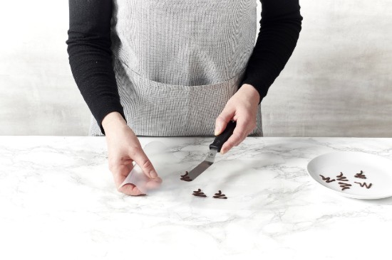 5-delige chocolade glazuurset, kunststof, 30 x 20 cm - de Buyer