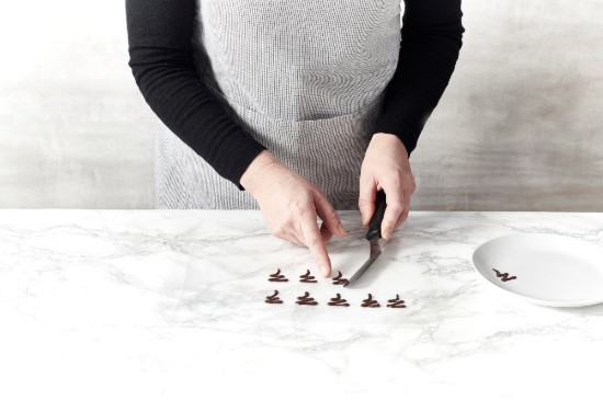 5-delige chocolade glazuurset, kunststof, 30 x 20 cm - de Buyer