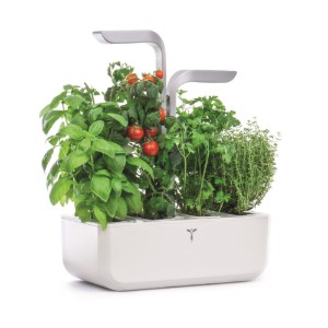 Fioriera, 33 × 18,5 × 45 cm, "SMART Garden", Arctic White - Veritable