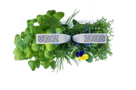 Fioriera, 33 × 18,5 × 45 cm, "SMART Garden", Arctic White - Veritable