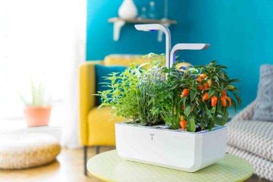 Fioriera, 33 × 18,5 × 45 cm, "SMART Garden", Arctic White - Veritable