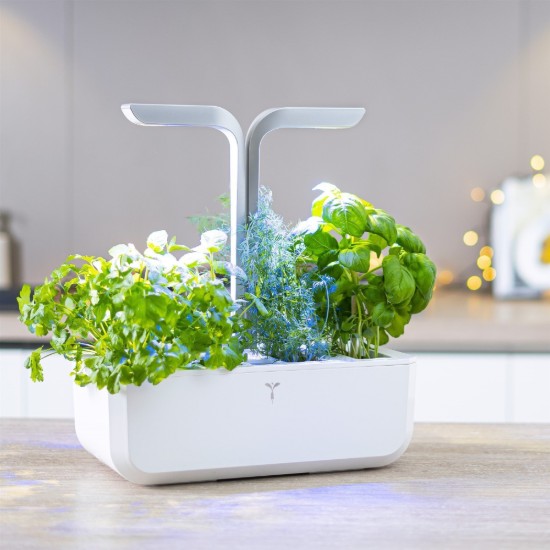 Fioriera, 33 × 18,5 × 45 cm, "SMART Garden", Arctic White - Veritable