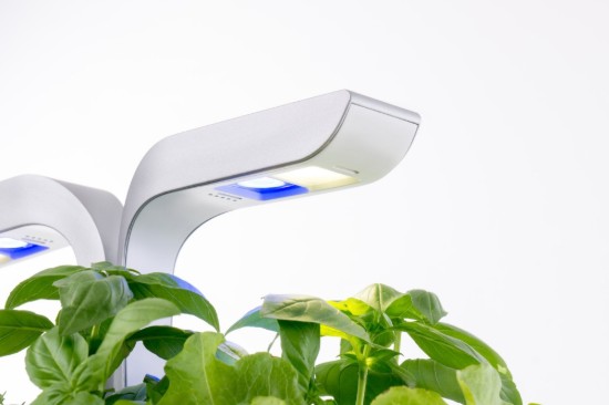 Fioriera, 33 × 18,5 × 45 cm, "SMART Garden", Arctic White - Veritable