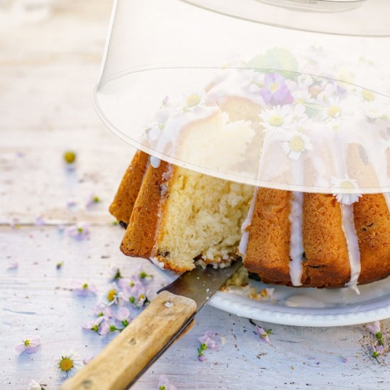 Καπάκι σε σχήμα θόλου 30 cm - Westmark