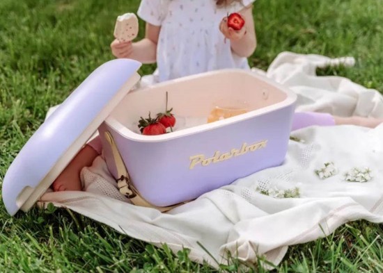 Scatola di raffreddamento, 12L, "Pop", Lilac - Yellow - Polarbox