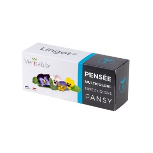 Pacchetto di semi di viole del pensiero multicolore "Lingot" - Veritable