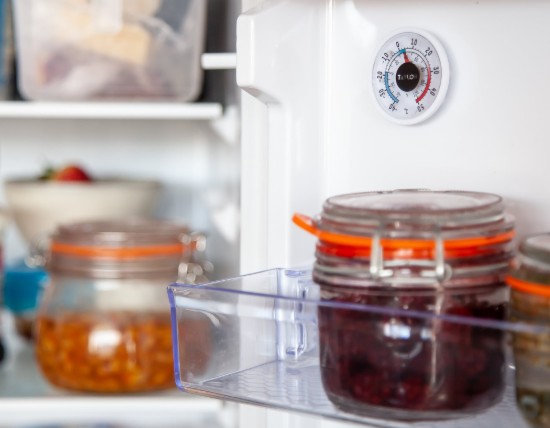 Termometro per frigorifero e congelatore "Taylor Pro" - Kitchen Craft