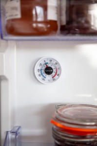 Thermometer voor koelkast en vriezer, "Taylor Pro" - Kitchen Craft