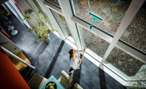 Tergicristallo 3 in 1, 32 cm e manico telescopico, 2,1 m – Leifheit