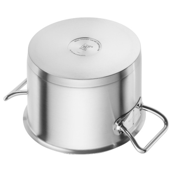 Kookpan met deksel, RVS, 24cm/6,2L, "Pro S" - Zwilling