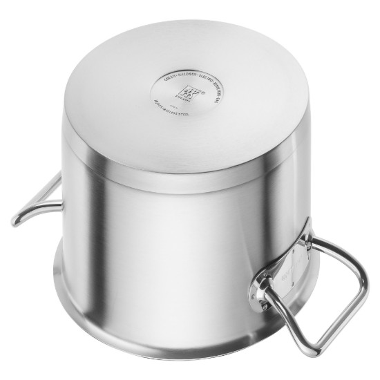 Puodas su dangčiu, nerūdijantis plienas, 24cm/8.1L, "Pro S" - Zwilling
