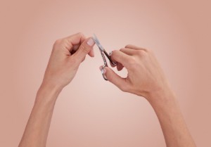 Nagelschaartje, roestvrij staal, 90 mm - Zwilling Classic Inox
