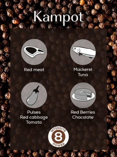 Set van 3 zakjes Kampot zwarte peper, 3x20g, "Spices" - Peugeot