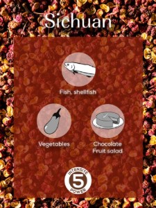 Set di 4 bustine di pepe rosso di Sichuan, 4x10g, "Spices" - Peugeot