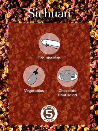 Set di 4 bustine di pepe rosso di Sichuan, 4x10g, "Spices" - Peugeot