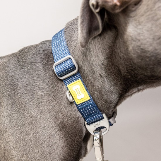 Reflecterende hondenhalsband, groot formaat, Blauw - Built Pet