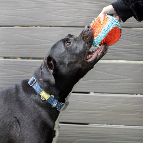 Reflecterende hondenhalsband, groot formaat, Blauw - Built Pet