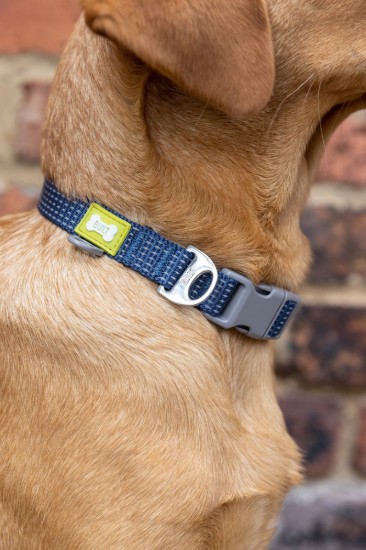 Reflecterende hondenhalsband, middelmaat, Blauw - Built Pet