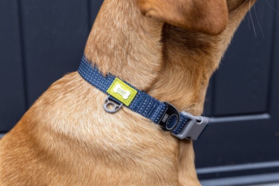 Reflecterende hondenhalsband, middelmaat, Blauw - Built Pet