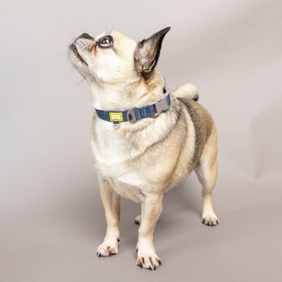 Reflective dog collar, small size, Blue - Built Pet