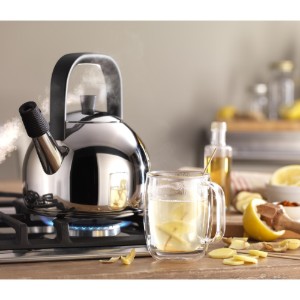 Bollitore per tè con fischietto, 1,6 L, "ZWILLING Plus" - Zwilling 