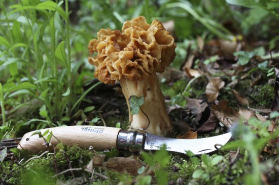 N°08 seente nuga, roostevaba teras, 8 cm - Opinel