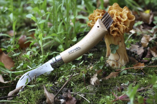 N°08 seente nuga, roostevaba teras, 8 cm - Opinel