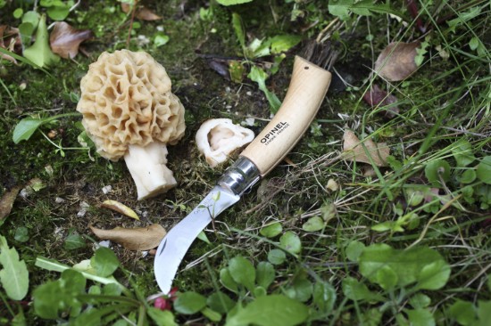 N°08 seente nuga, roostevaba teras, 8 cm - Opinel