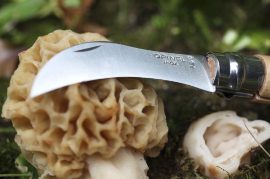 N°08 seente nuga, roostevaba teras, 8 cm - Opinel